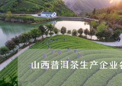 山西普洱茶厂家联系方式及生产工艺全面解析，助您轻松选购高质量茶叶