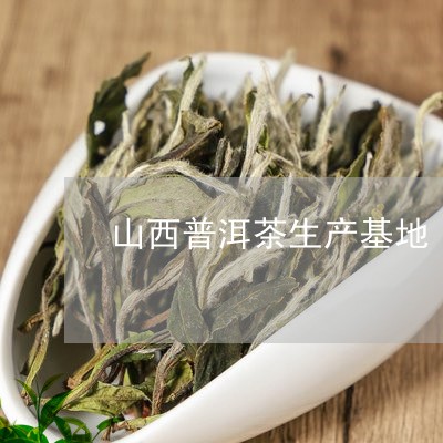 山西做普洱茶的厂家