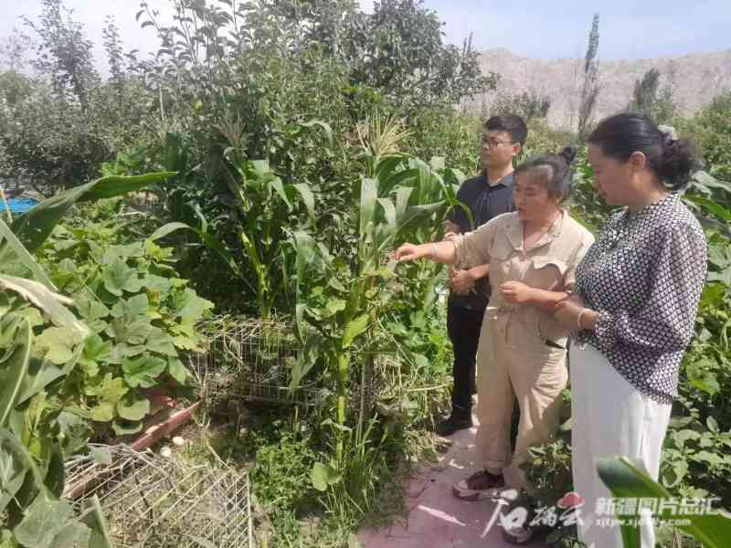 2019年土鸡沱市场价格分析：供需关系、养殖成本、消费趋势等多方面因素影响