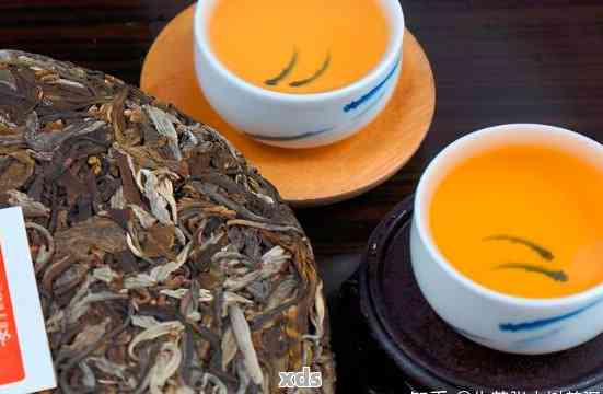 普洱茶小片茶的深度解析：从原料到品鉴，你不可不知的知识