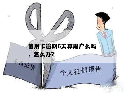 连续五个月逾期还款六次，是否会被标记为黑户？