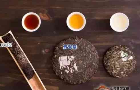 探究普洱茶价格与品质的关系：如何根据价位选择合适的普洱茶饼？