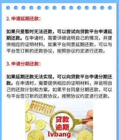 如何解决网贷对公还款通道问题并完成柜台还款？用户全面指南