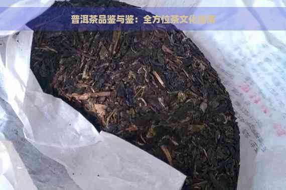 普之味普洱茶：品鉴与鉴的完美结合