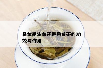 易武贡砖普洱茶生茶还是熟茶：口感与功效的比较