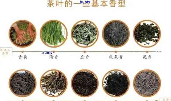 高山流水牌茶叶品种详解：如何区分不同产地和等级的高山流水茶？