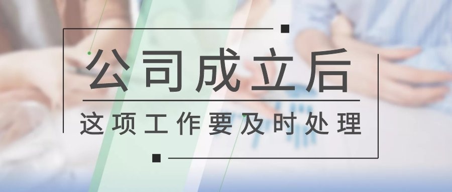 如果您的分公司逾期未申报，这是否会影响到总公司的纳税信用等级？