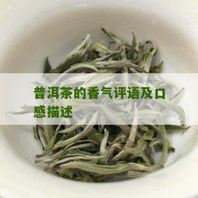 '象牙塘普洱茶的香味如何？' - 一个关于象牙塘普洱茶香气评价的问题。