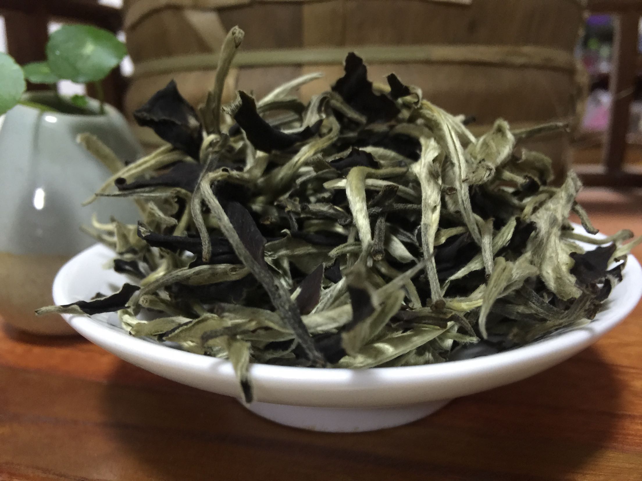 散普洱茶好吗？怎么泡？功效是什么？