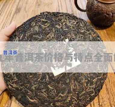 名字醇厚的普洱茶