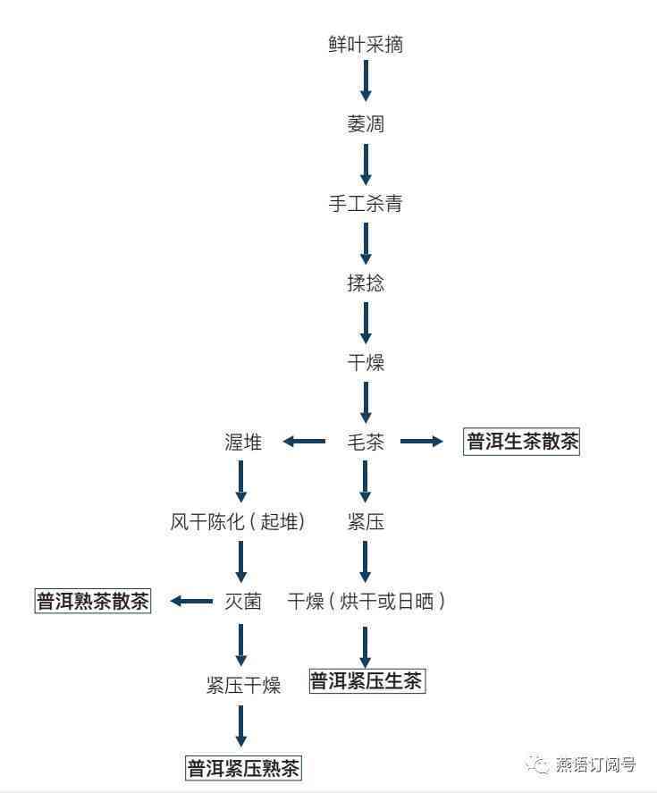 普洱茶摊凉工艺的详尽步骤与实践指南