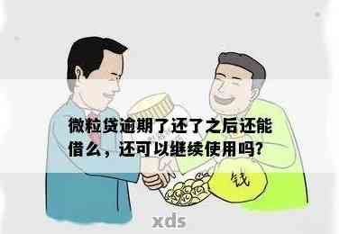 微粒贷二次借款：未还清上一笔，再次借贷的体验