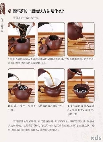 普洱茶泡法全解析：如何才能让普洱茶更好喝？