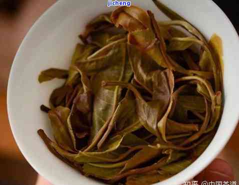 新 '普洱茶回现象解析： 淡茶味背后的原因是什么？'