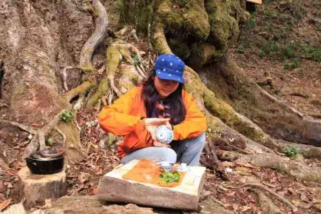 河北普洱茶存地探秘：哪里才是藏茶之地？