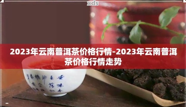 2023年全新米香型普洱茶价格解析，包含详细分级、年份与口感评价