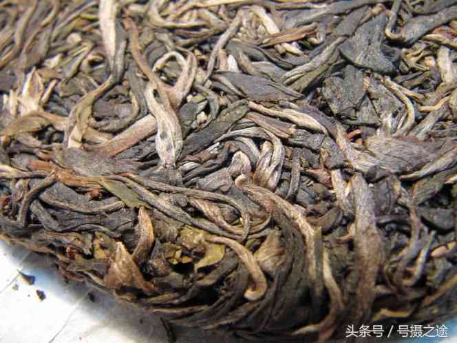 全球十大顶级普洱茶排行榜，为你精选好喝的茶品