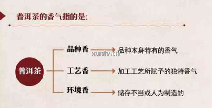 普洱茶中异物的种类及其对人体健的危害分析