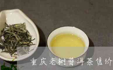 马黛茶与普洱茶哪个好？