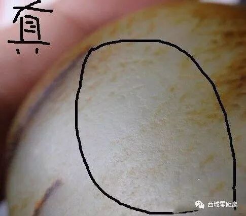 有毛孔的和田玉是什么料：探讨籽料与山料的差异，以及汗毛孔的存在意义