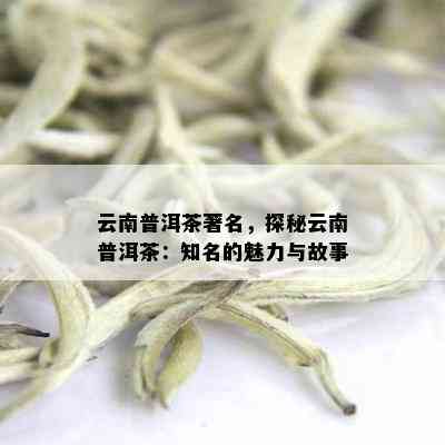 云南普洱茶知名：探索更具声誉和品质的普洱茶