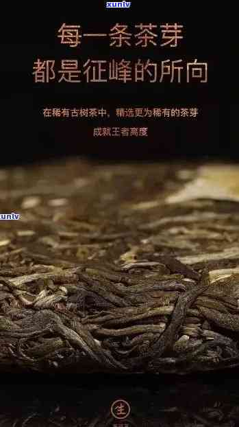 古树普洱茶：章郎茶品的传承与创新