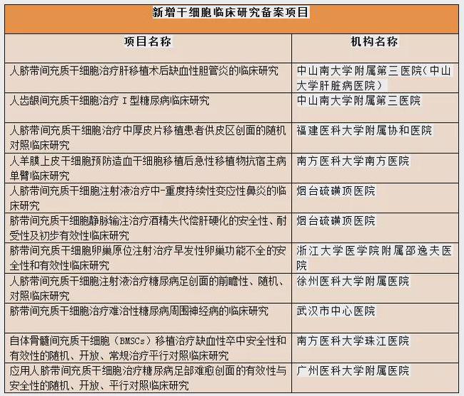 真正的玉石：重量与质量的辩证关系探究