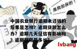 逾期两次农行贷款可能性及解决方法