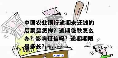 逾期两次农行贷款可能性及解决方法