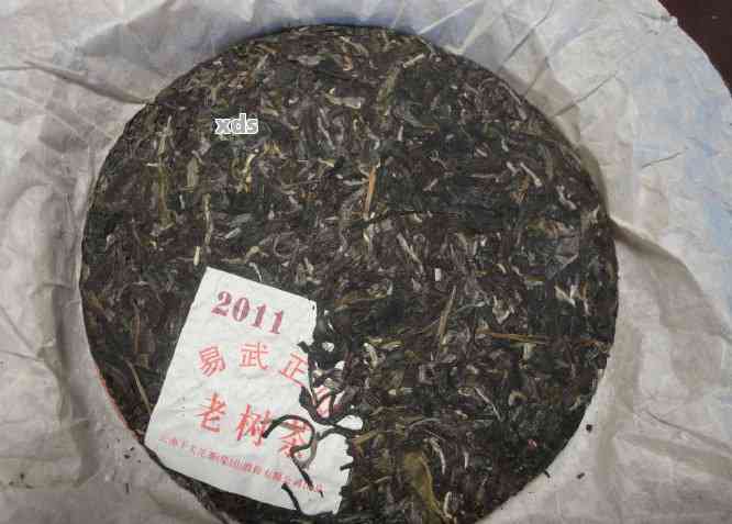 2006年大益普洱茶：品质越，古树茶香