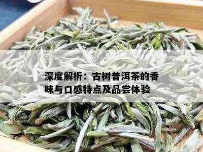 普洱茶高芽率的原因及其对茶叶品质和口感的影响分析