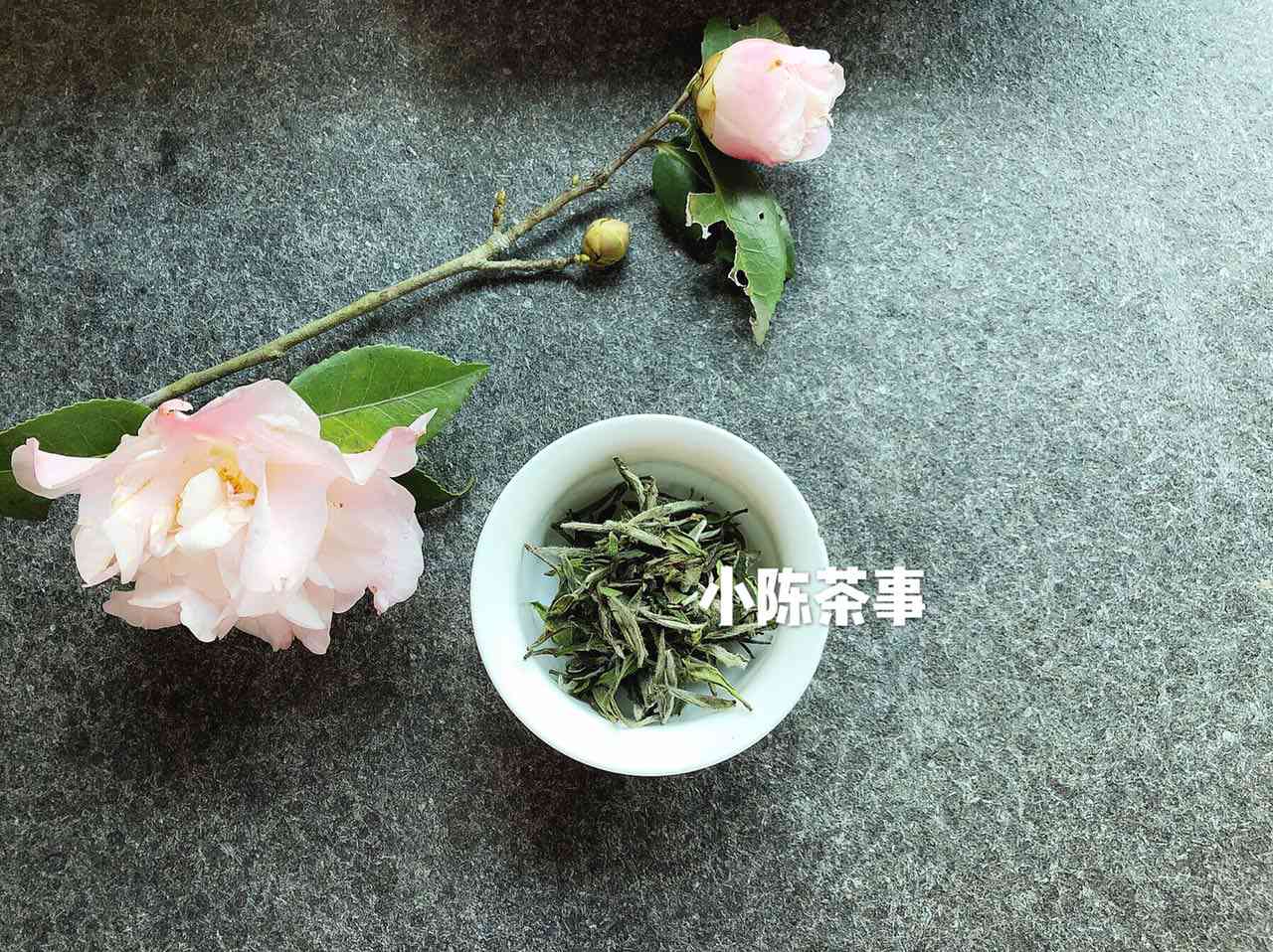 安溪铁观音红茶普洱茶：真相揭秘