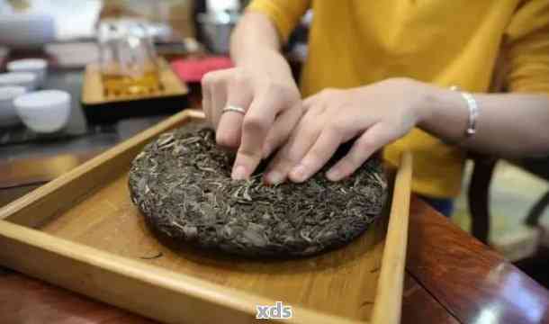 '普洱茶饼泡饮安全可行，女生也可享用，但需注意品质与冲泡方法'