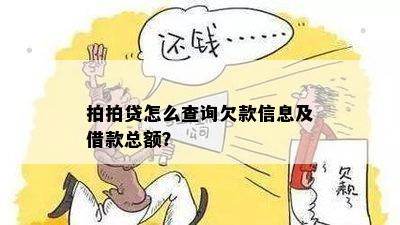 一站式指南：如何查询账户欠款总额及相关还款详情？