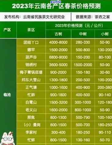 年份普洱茶品质参差：如何挑选2023年优质普洱茶？