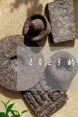 年份普洱茶品质参差：如何挑选2023年优质普洱茶？