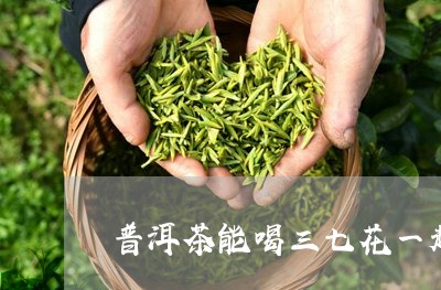 三七普洱茶什么味道好