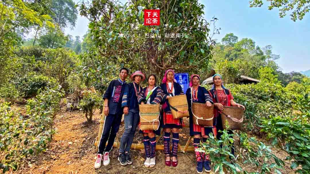 新 香醇浓的普洱茶：品味云南的独特风土人情