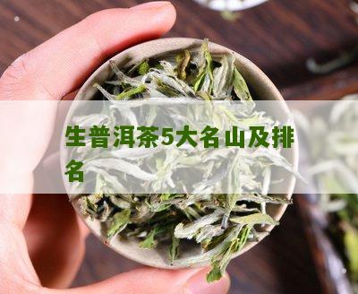 名山普洱茶排行榜