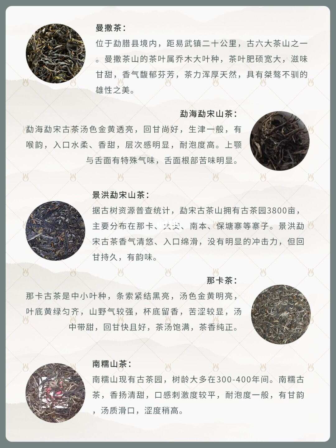 名山普洱茶排行榜