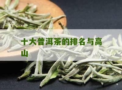 名山普洱茶排行榜