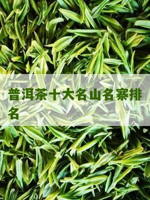 名山普洱茶排行榜