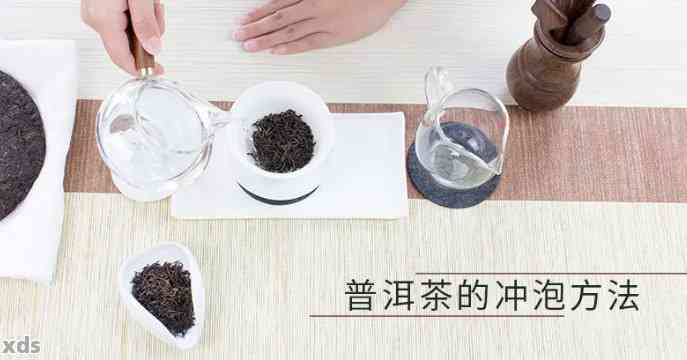 如何正确泡制普洱茶？解决碎末泡法与口感问题，让普洱茶更美味可口