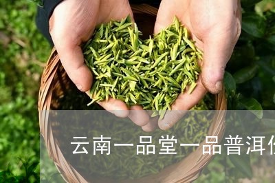 古滇一品普洱茶价格表