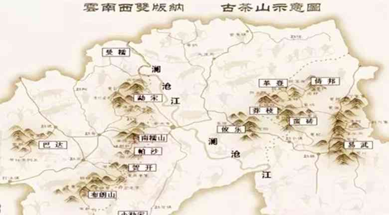 探索落水洞普洱茶的产地：哪个茶区是它的真正家园？