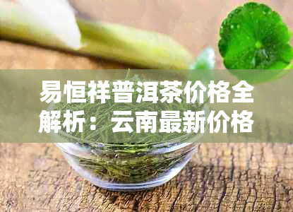 云南易中祥茶厂普洱茶价格：全面解析与比较，助您选购合适的茶叶