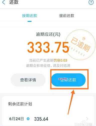 下月借呗还款额度预测：如何查看您的具体数额？