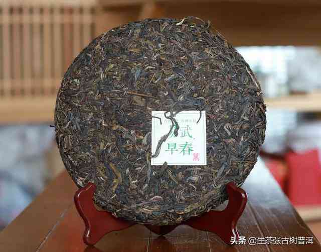 如何评判普洱茶的条索？掌握这些关键要素，挑选优质茶叶不再难