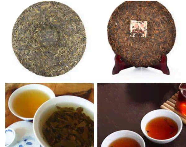 普洱茶历：1973年前的茶叶品种、制作工艺与品饮特点全解析