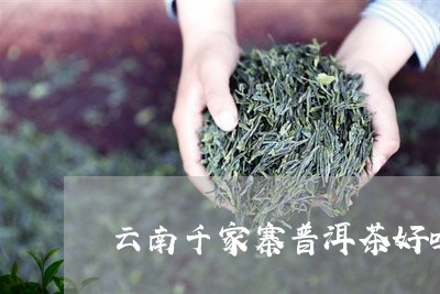 普洱市千家寨普洱茶业：专注于高品质普洱茶生产的领军企业